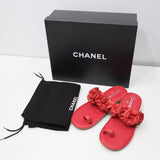 CHANEL シャネル サンダル 14P G29783 カメリア レッド 36C 23cm 靴 レディース 箱袋有 19k318-398