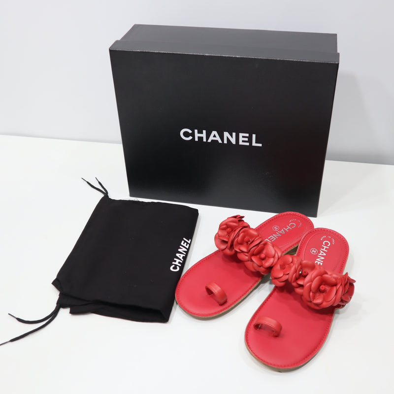 CHANEL シャネル サンダル 14P G29783 カメリア レッド 36C 23cm 靴 レディース 箱袋有 19k318-398