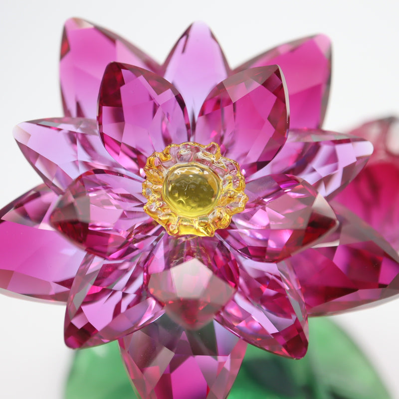 SWAROVSKI スワロフスキー ハスの華 ロータス 5275716 クリスタル お花 フラワーモチーフ 箱有 M4180