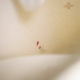 LOUIS VUITTON ルイヴィトン M20510 オンザゴーMM モノグラム スプリングインザシティ アンプラント 2way 鞄 袋有 H15714