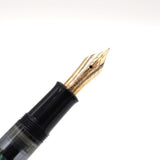 未使用 PELIKAN ペリカン 万年筆 12C-500 HEF インク付き 筆記未確認 H529